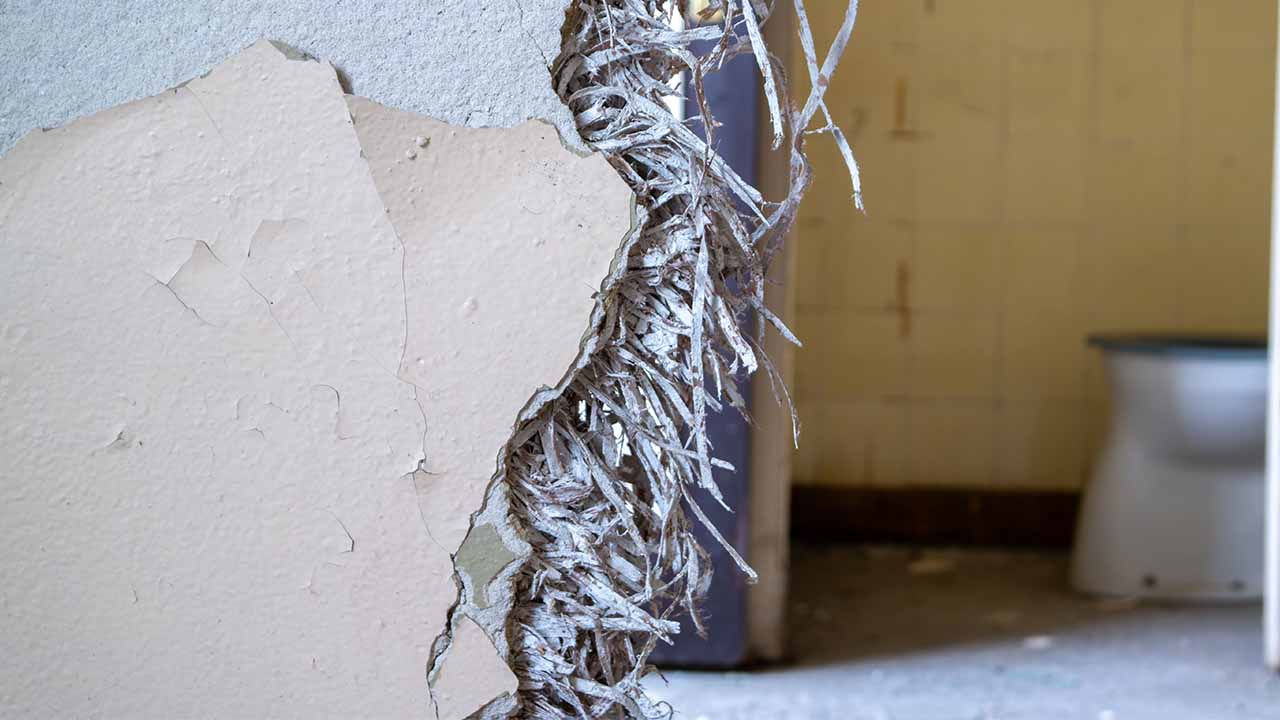 Asbestos exposed loose fill insulation 16-9.jpg