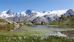 the swiss alps
